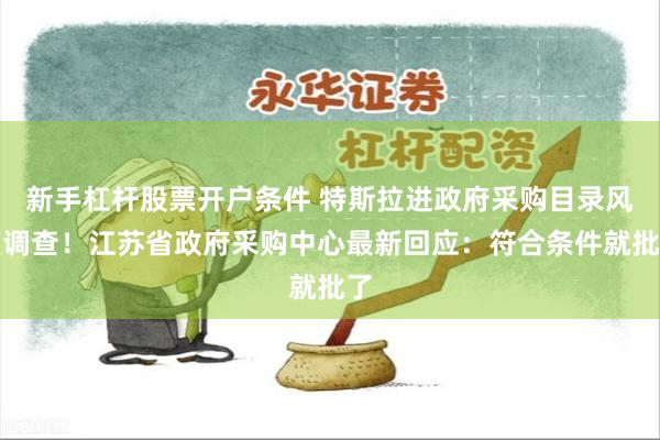 新手杠杆股票开户条件 特斯拉进政府采购目录风波调查！江苏