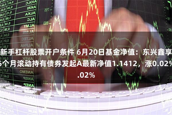 新手杠杆股票开户条件 6月20日基金净值：东兴鑫享6个月