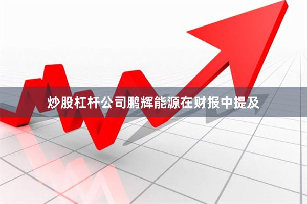 炒股杠杆公司鹏辉能源在财报中提及