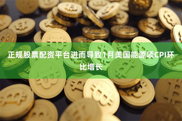 正规股票配资平台进而导致1月美国能源项CPI环比增长